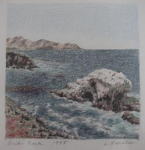 Santa Cruz Island Drawing